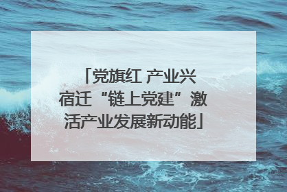 党旗红 产业兴 宿迁“链上党建”激活产业发展新动能