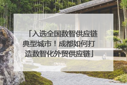 入选全国数智供应链典型城市！成都如何打造数智化外贸供应链