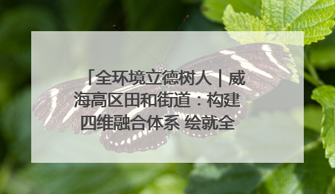 全环境立德树人｜威海高区田和街道：构建四维融合体系 绘就全环境立德树人新画卷