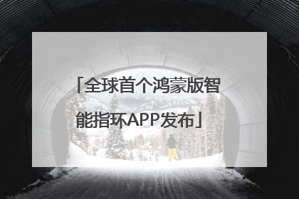全球首个鸿蒙版智能指环APP发布
