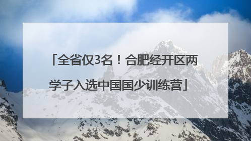 全省仅3名！合肥经开区两学子入选中国国少训练营