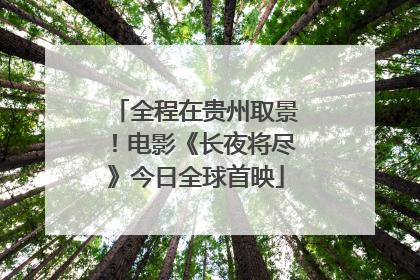 全程在贵州取景！电影《长夜将尽》今日全球首映