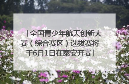 全国青少年航天创新大赛（综合赛区）选拔赛将于6月1日在泰安开赛