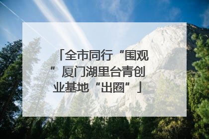 全市同行“围观”厦门湖里台青创业基地“出圈”