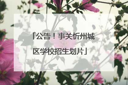公告！事关忻州城区学校招生划片