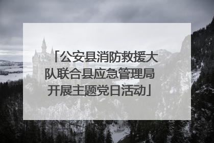 公安县消防救援大队联合县应急管理局开展主题党日活动