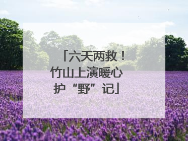 六天两救！竹山上演暖心护“野”记