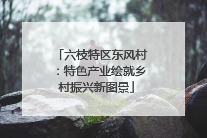 六枝特区东风村：特色产业绘就乡村振兴新图景