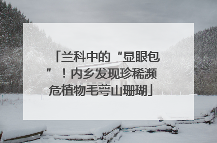 兰科中的“显眼包”！内乡发现珍稀濒危植物毛萼山珊瑚