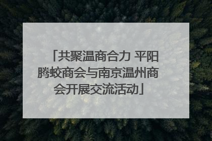 共聚温商合力 平阳腾蛟商会与南京温州商会开展交流活动