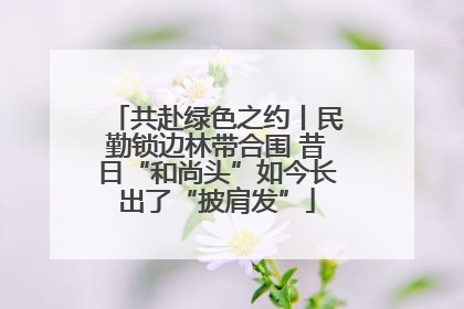 共赴绿色之约丨民勤锁边林带合围 昔日“和尚头”如今长出了“披肩发”