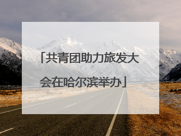 共青团助力旅发大会在哈尔滨举办