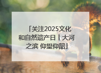 关注2025文化和自然遗产日丨大河之滨 仰望仰韶