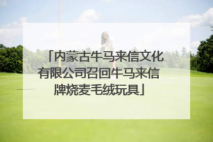 内蒙古牛马来信文化有限公司召回牛马来信牌烧麦毛绒玩具