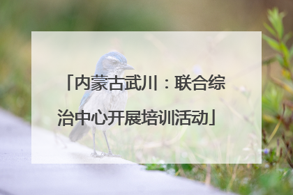内蒙古武川：联合综治中心开展培训活动