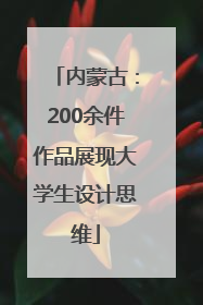 内蒙古：200余件作品展现大学生设计思维