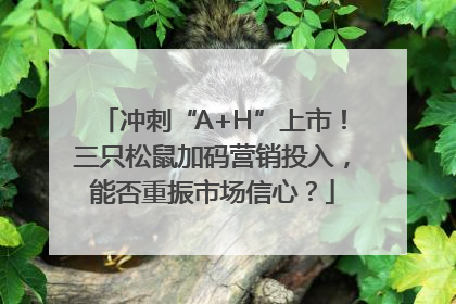 冲刺“A+H”上市！三只松鼠加码营销投入，能否重振市场信心？