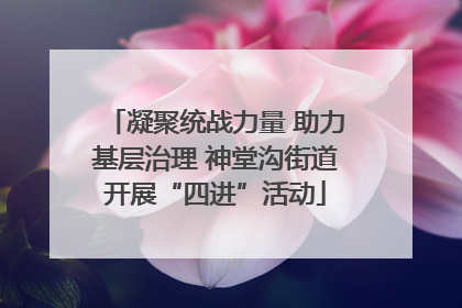 凝聚统战力量 助力基层治理 神堂沟街道开展“四进”活动