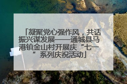 凝聚党心强作风，共话振兴谋发展——通城县马港镇金山村开展庆“七一”系列庆祝活动