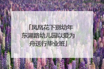 凤凰花下别幼年 东湖路幼儿园以爱为舟送行毕业班