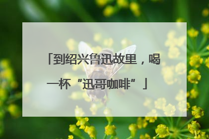 到绍兴鲁迅故里，喝一杯“迅哥咖啡”