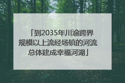 到2035年川渝跨界规模以上流经场镇的河流总体建成幸福河湖
