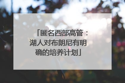 匿名西部高管：湖人对布朗尼有明确的培养计划