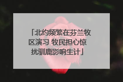 北约频繁在芬兰牧区演习 牧民担心惊扰驯鹿影响生计
