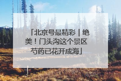 北京号最精彩｜绝美！门头沟这个景区芍药已花开成海