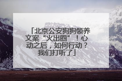 北京公安狗狗领养文案“火出圈”！心动之后，如何行动？我们打听了