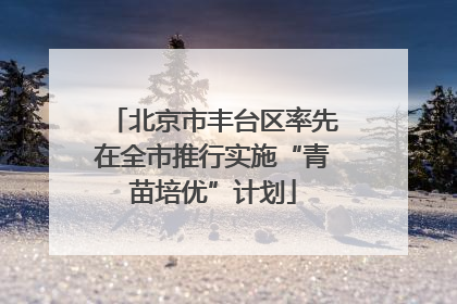 北京市丰台区率先在全市推行实施“青苗培优”计划