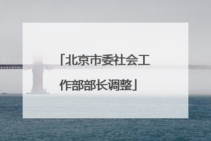 北京市委社会工作部部长调整