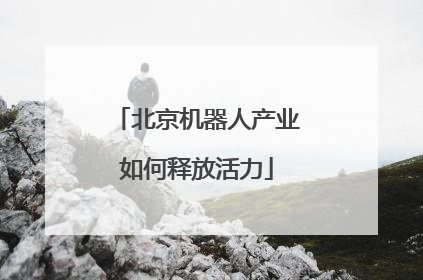 北京机器人产业如何释放活力