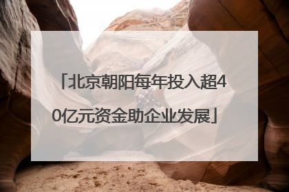 北京朝阳每年投入超40亿元资金助企业发展