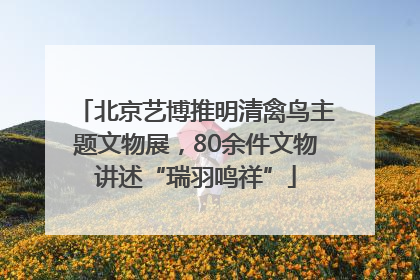 北京艺博推明清禽鸟主题文物展，80余件文物讲述“瑞羽鸣祥”