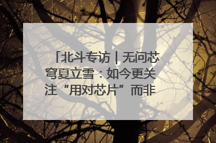 北斗专访｜无问芯穹夏立雪：如今更关注“用对芯片”而非“用贵芯片”