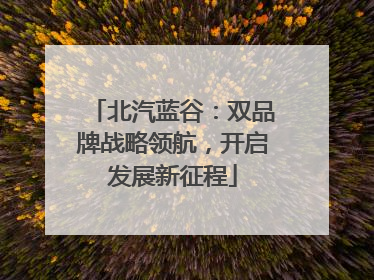 北汽蓝谷：双品牌战略领航，开启发展新征程