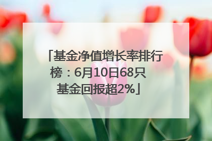 基金净值增长率排行榜：6月10日68只基金回报超2%
