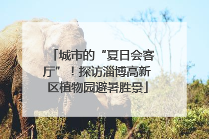 城市的“夏日会客厅”！探访淄博高新区植物园避暑胜景