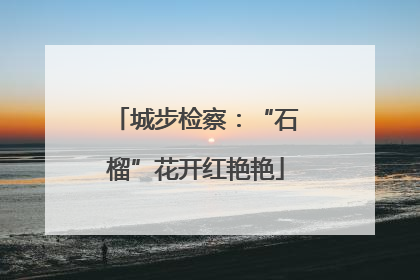 城步检察：“石榴”花开红艳艳