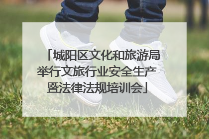 城阳区文化和旅游局举行文旅行业安全生产暨法律法规培训会