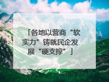 各地以营商“软实力”铸就民企发展“硬支撑”