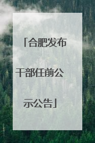 合肥发布干部任前公示公告