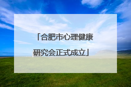 合肥市心理健康研究会正式成立