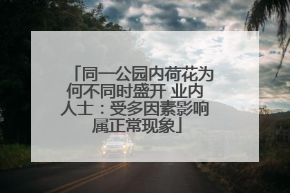 同一公园内荷花为何不同时盛开 业内人士：受多因素影响 属正常现象