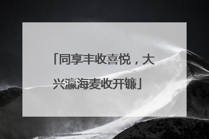 同享丰收喜悦，大兴瀛海麦收开镰