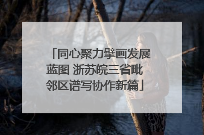 同心聚力擘画发展蓝图 浙苏皖三省毗邻区谱写协作新篇