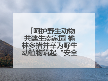 呵护野生动物 共建生态家园 榆林多措并举为野生动植物筑起“安全屏障”
