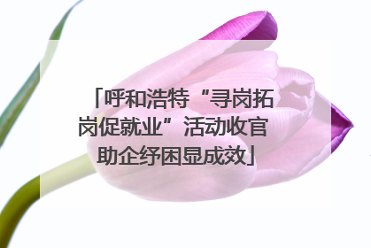 呼和浩特“寻岗拓岗促就业”活动收官 助企纾困显成效
