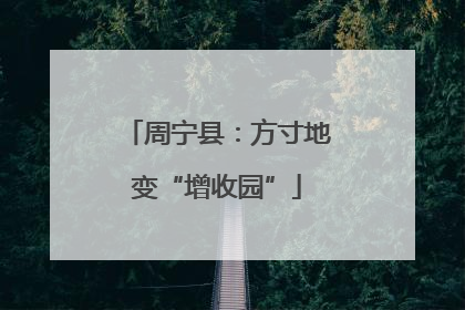 周宁县：方寸地变“增收园”